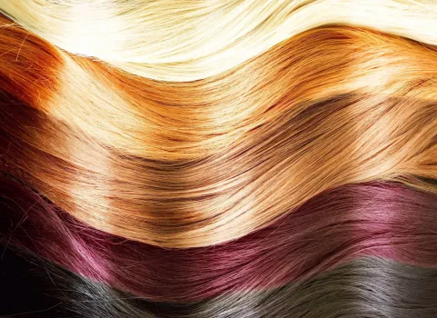 Art of Hair