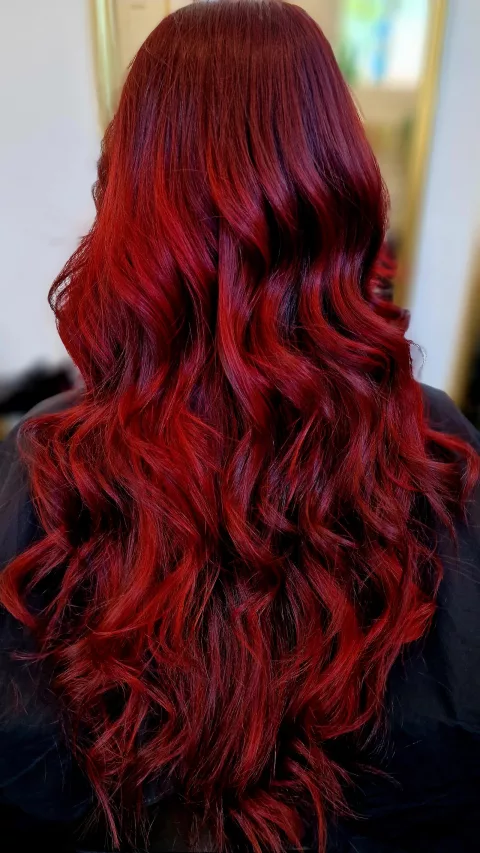 Hair Style Coiffure