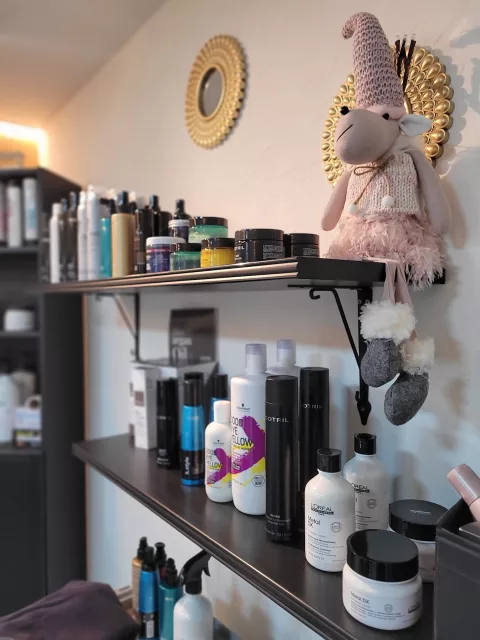 Coiffeur Royal