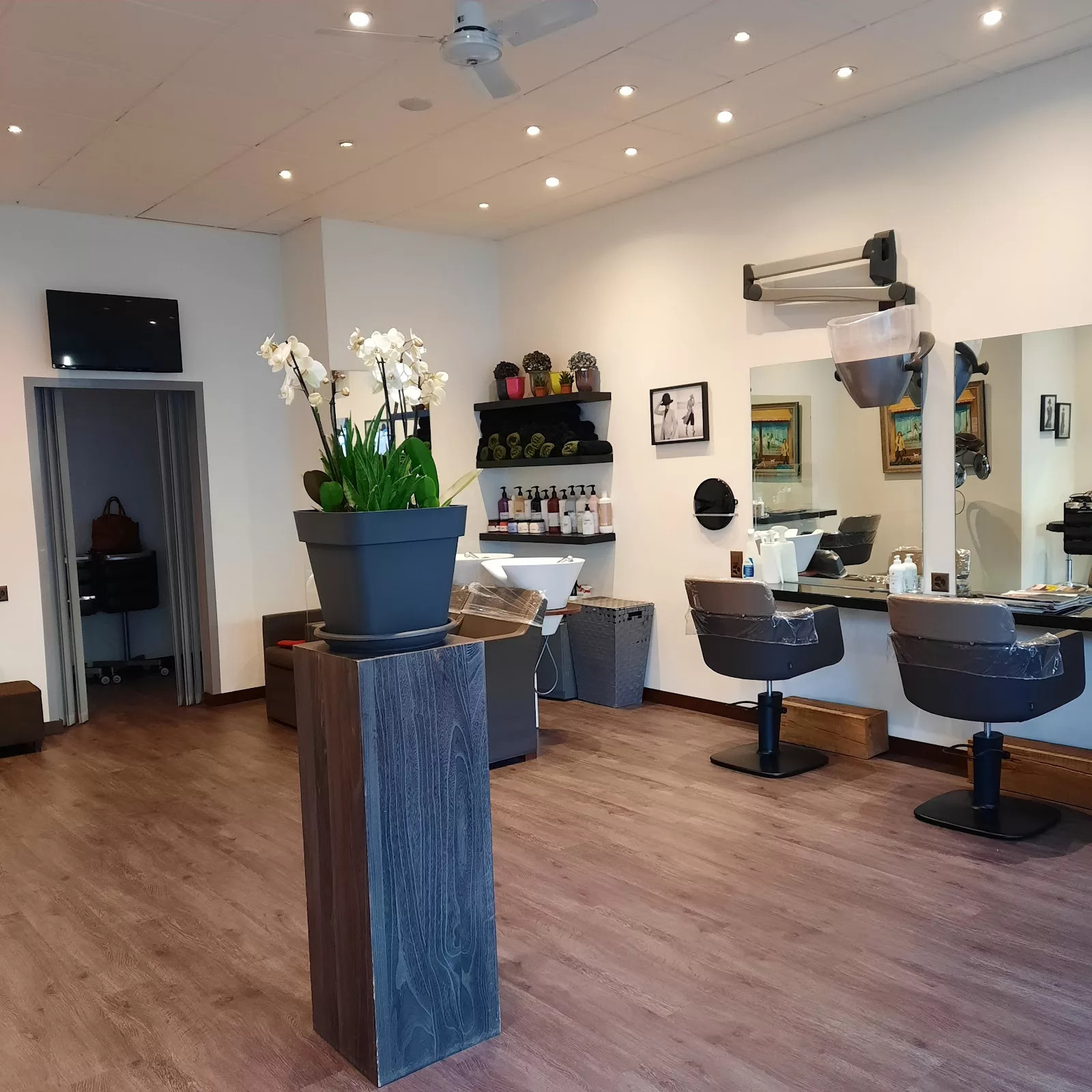 Arlequin Coiffure