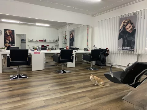 Coiffeur Haarley